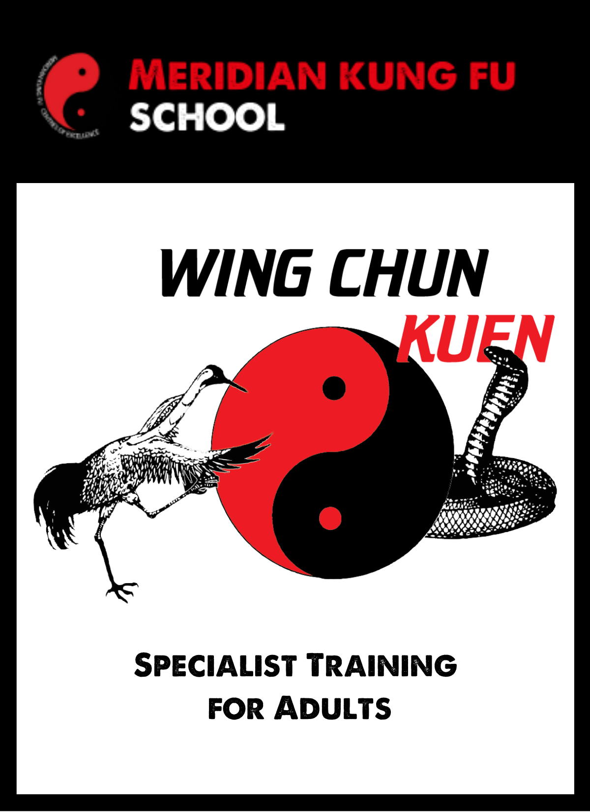 Adult Kung Fu Training