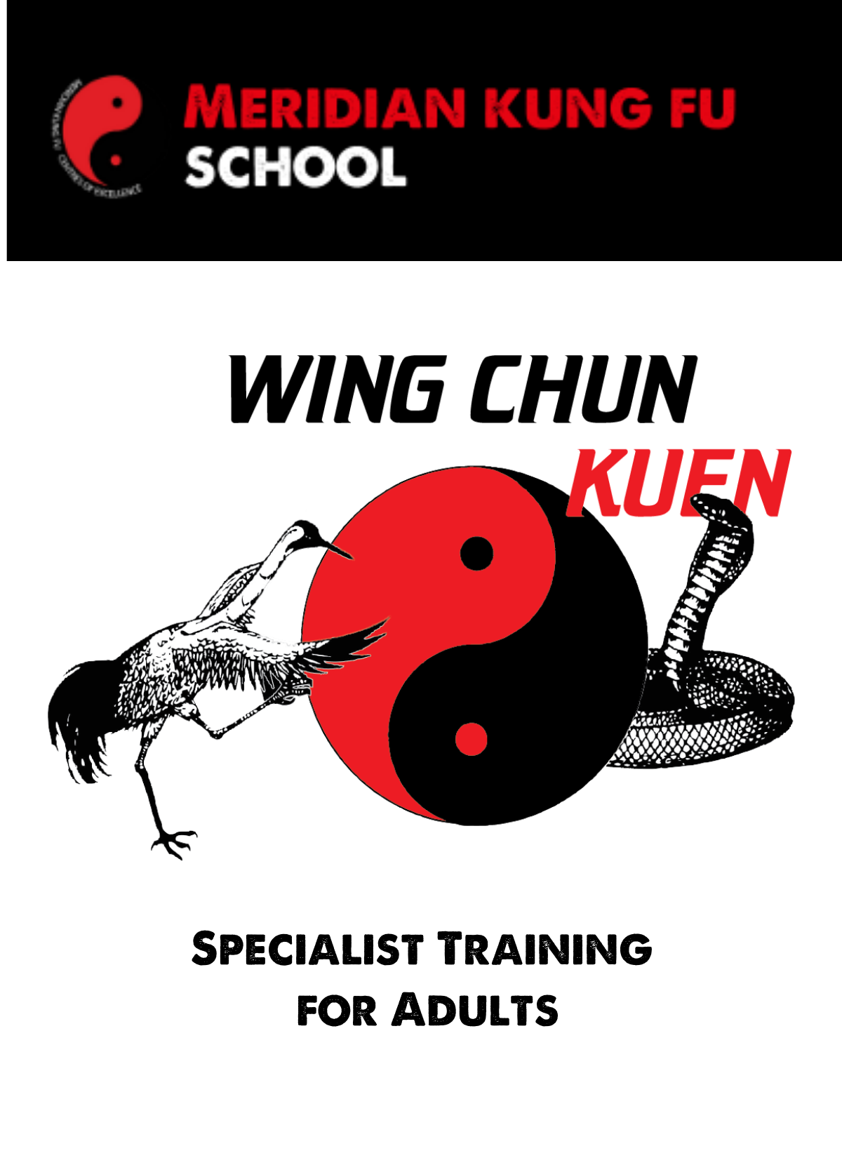 Adult Kung Fu Training