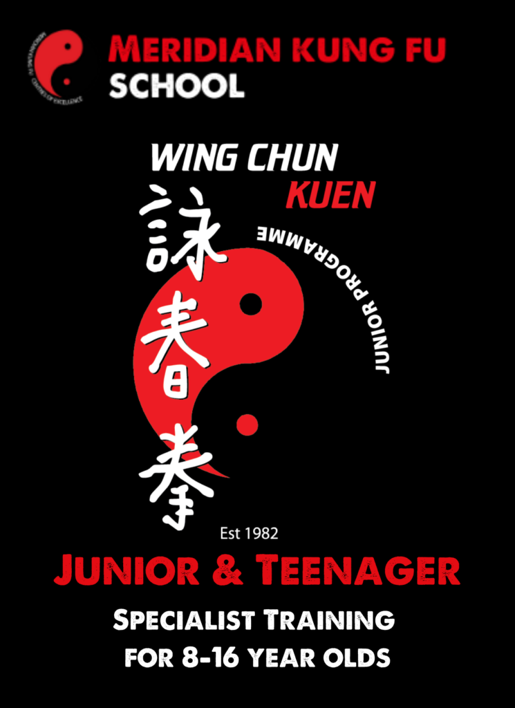 Junior Kung Fu Courses