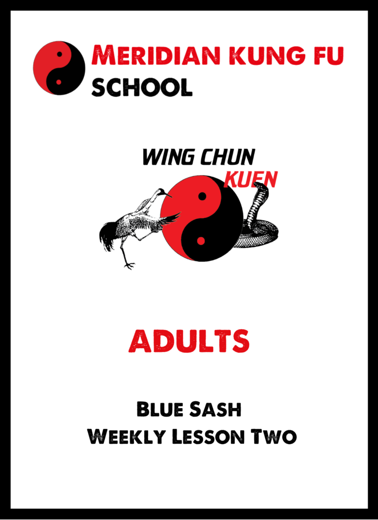 Learn the Adult Wing Chun Kuen Blue Curriculum here – Meridian Kung Fu